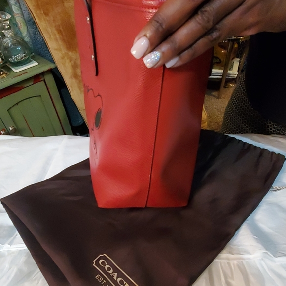 Coach Snoopy - Picture 5 of 8